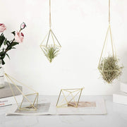 Air Plant Decorative Hanging Planters 4-Pack