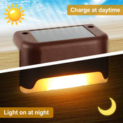 Waterproof Solar LED Garden Light