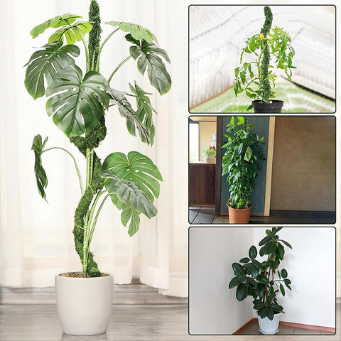 Bendable Climbing Plant Support Pole