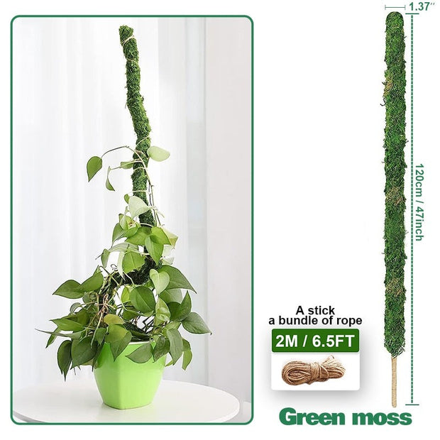 Bendable Climbing Plant Support Pole