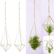 Air Plant Decorative Hanging Planters 4-Pack